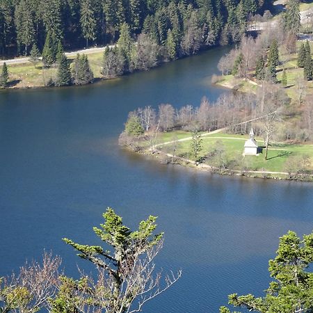 Willa Chalet La Petite Perle Gérardmer Zewnętrze zdjęcie