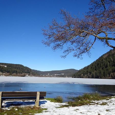 Willa Chalet La Petite Perle Gérardmer Zewnętrze zdjęcie