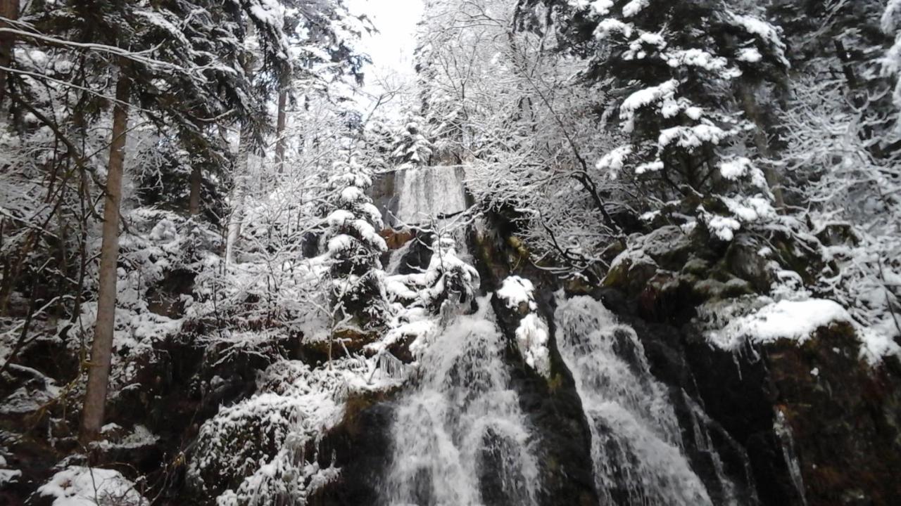 Willa Chalet La Petite Perle Gérardmer Zewnętrze zdjęcie