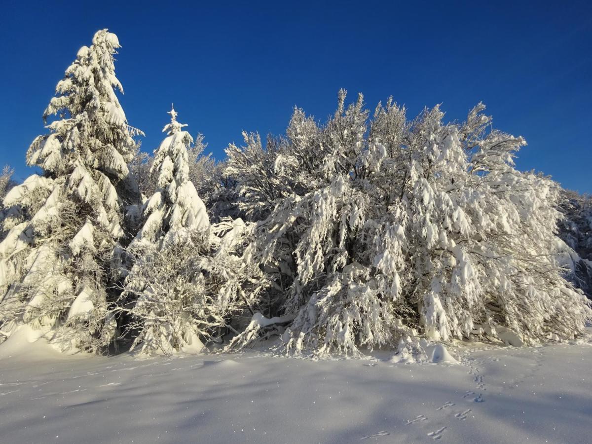 Willa Chalet La Petite Perle Gérardmer Zewnętrze zdjęcie