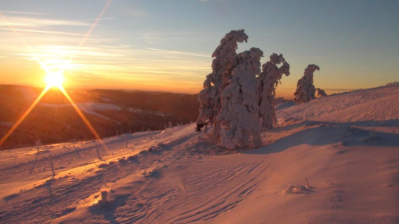 Willa Chalet La Petite Perle Gérardmer Zewnętrze zdjęcie