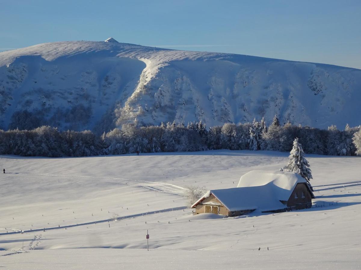 Willa Chalet La Petite Perle Gérardmer Zewnętrze zdjęcie