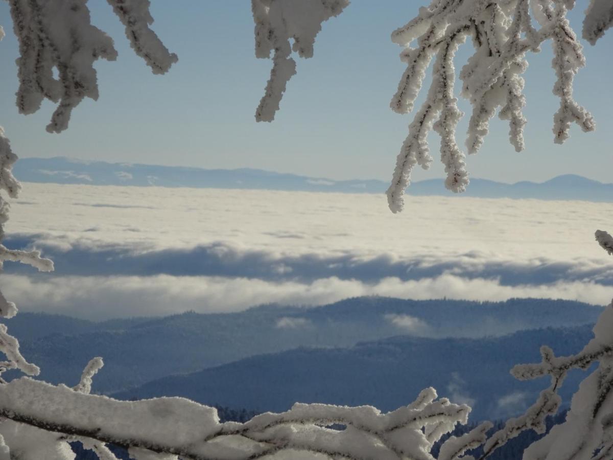 Willa Chalet La Petite Perle Gérardmer Zewnętrze zdjęcie