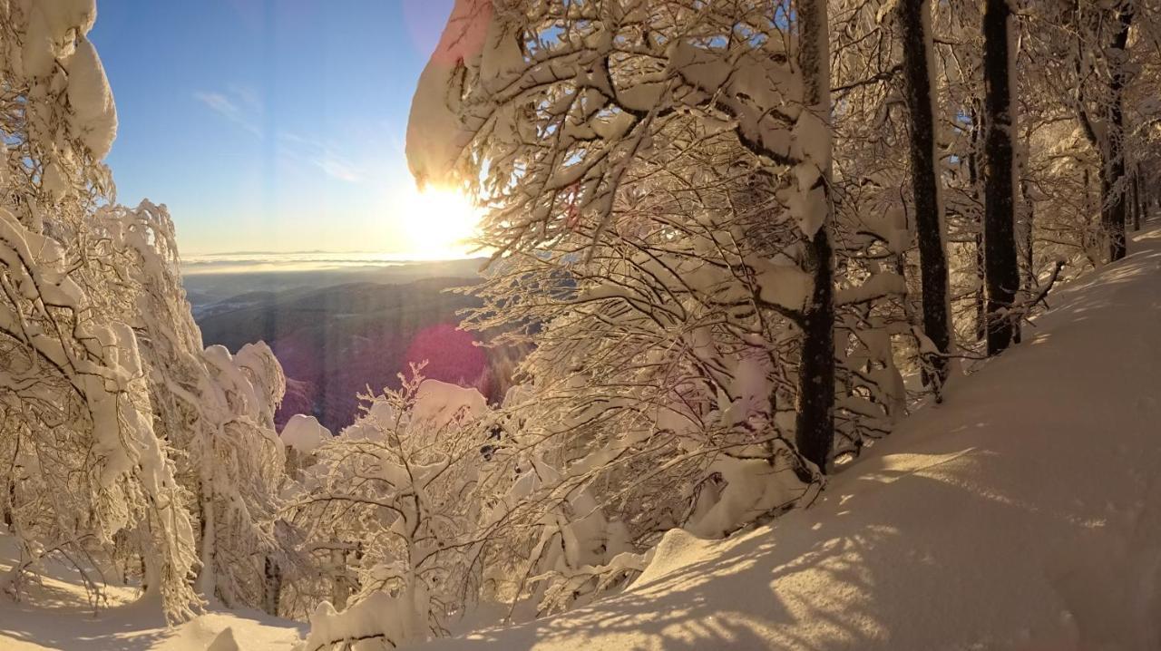 Willa Chalet La Petite Perle Gérardmer Zewnętrze zdjęcie