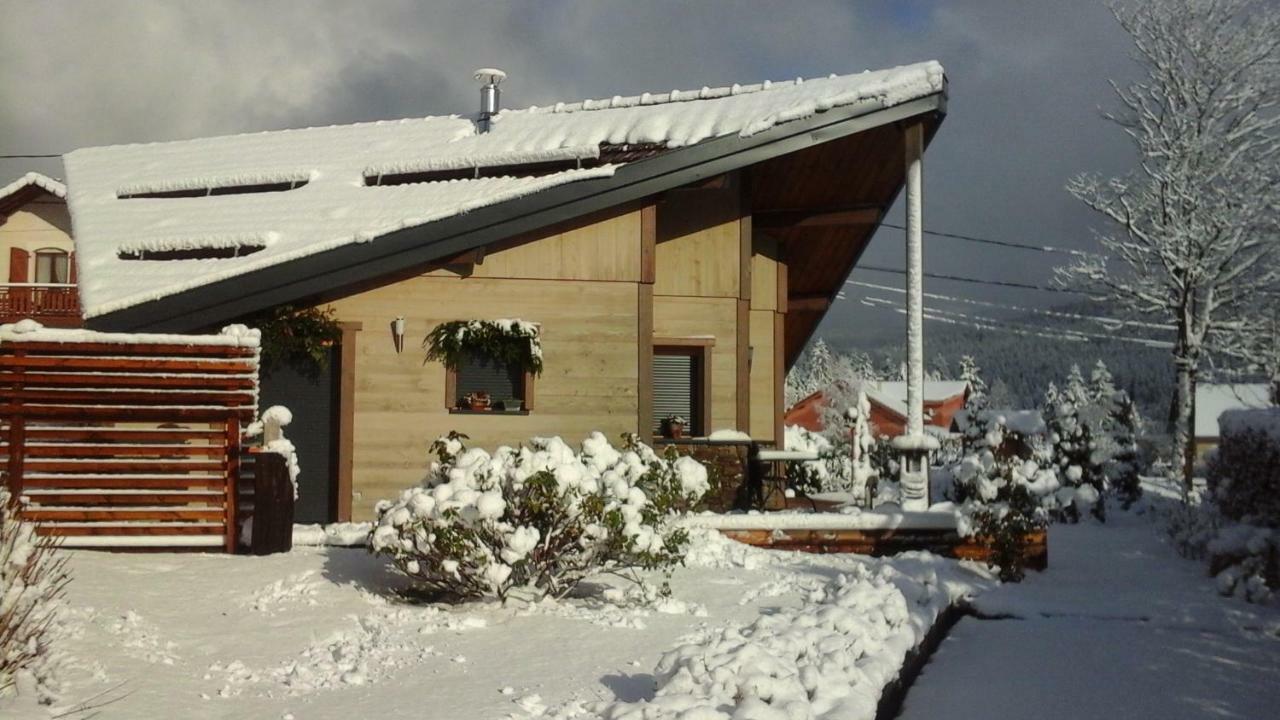 Willa Chalet La Petite Perle Gérardmer Zewnętrze zdjęcie