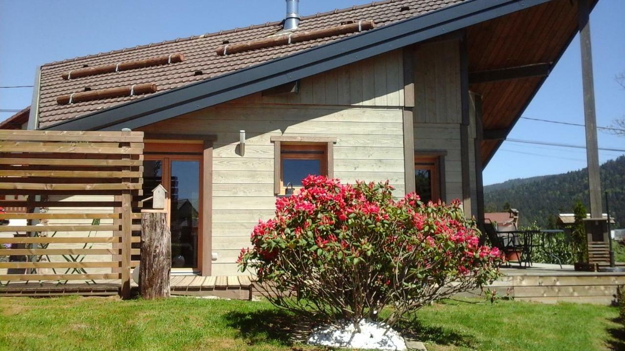 Willa Chalet La Petite Perle Gérardmer Zewnętrze zdjęcie