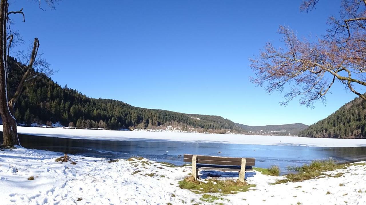 Willa Chalet La Petite Perle Gérardmer Zewnętrze zdjęcie