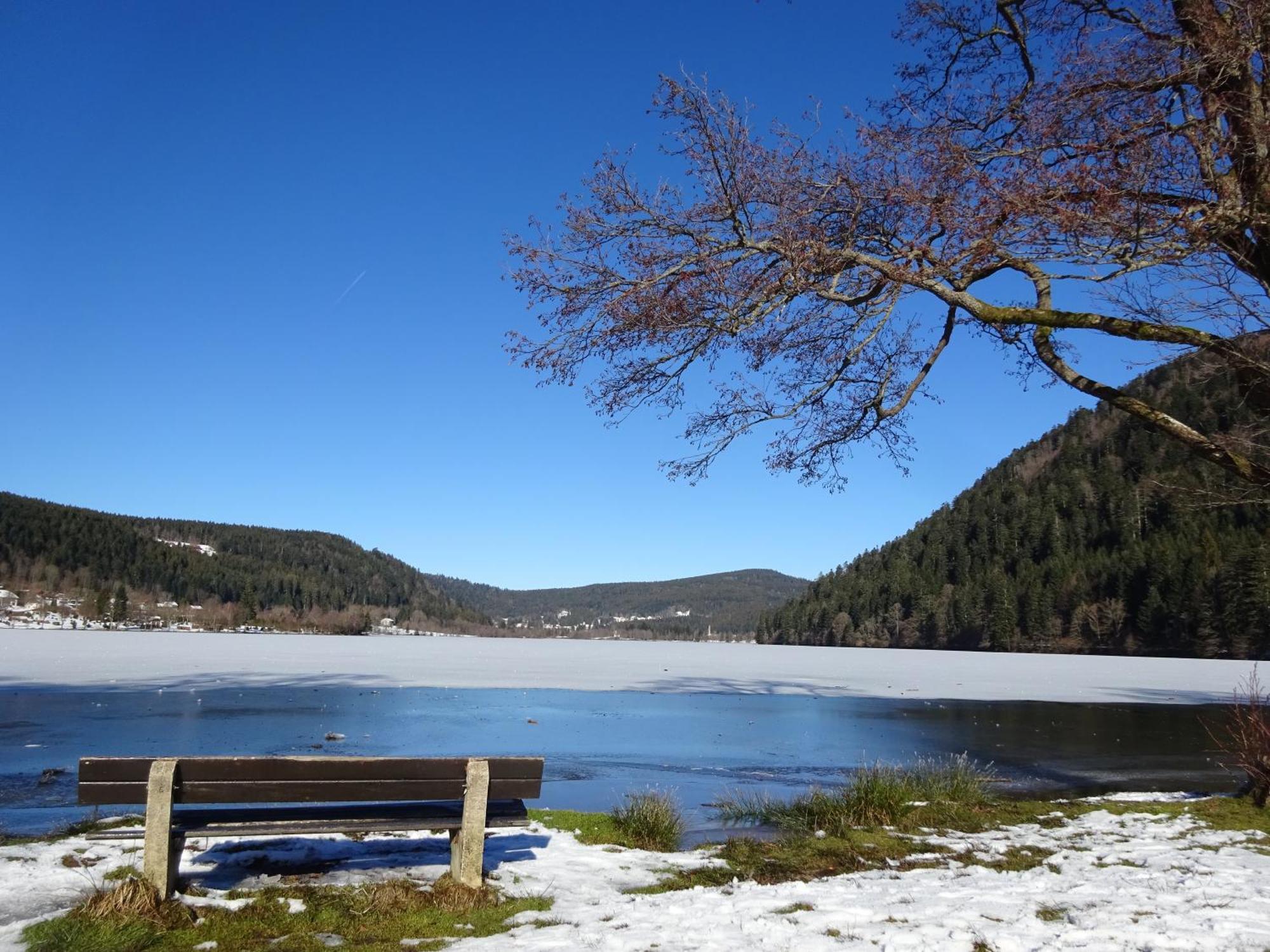 Willa Chalet La Petite Perle Gérardmer Zewnętrze zdjęcie